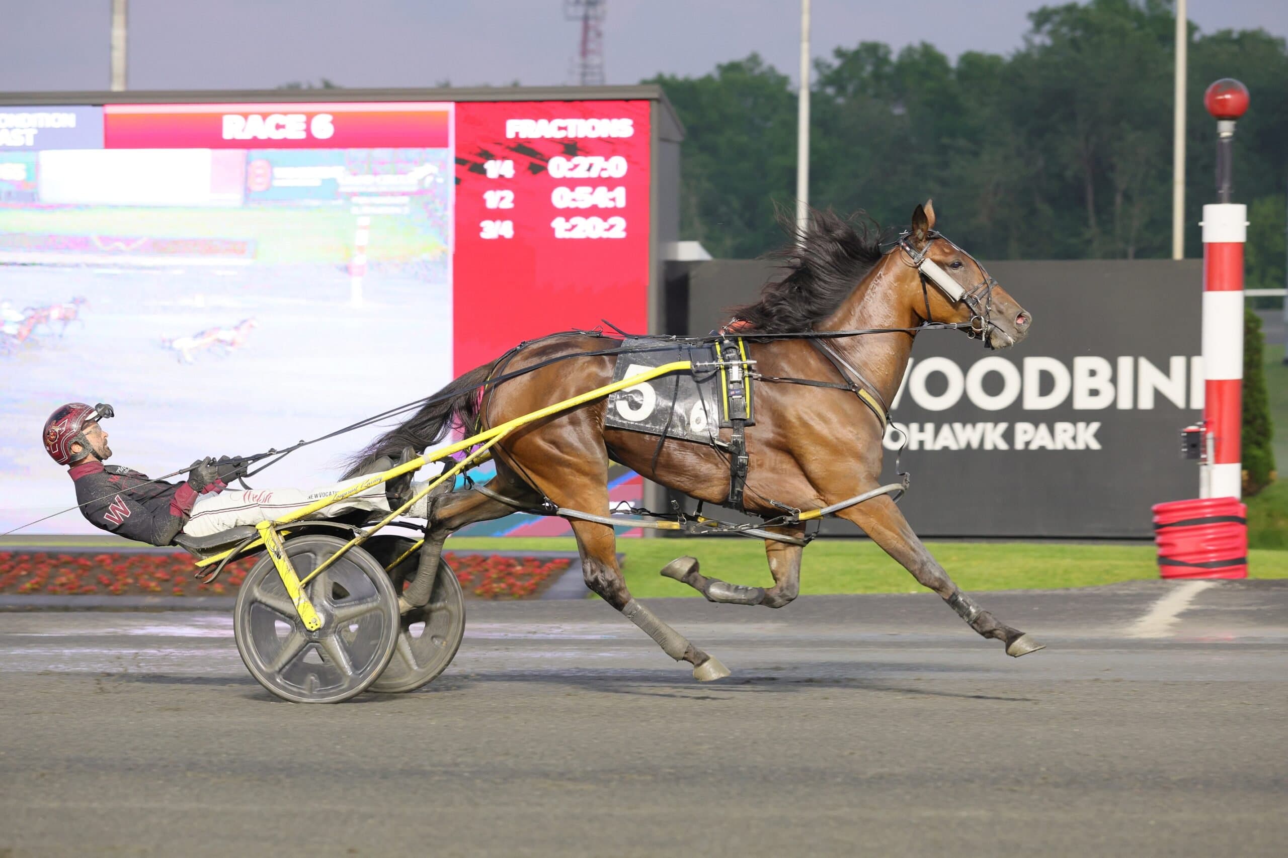 Tyga Hanover — photo 2