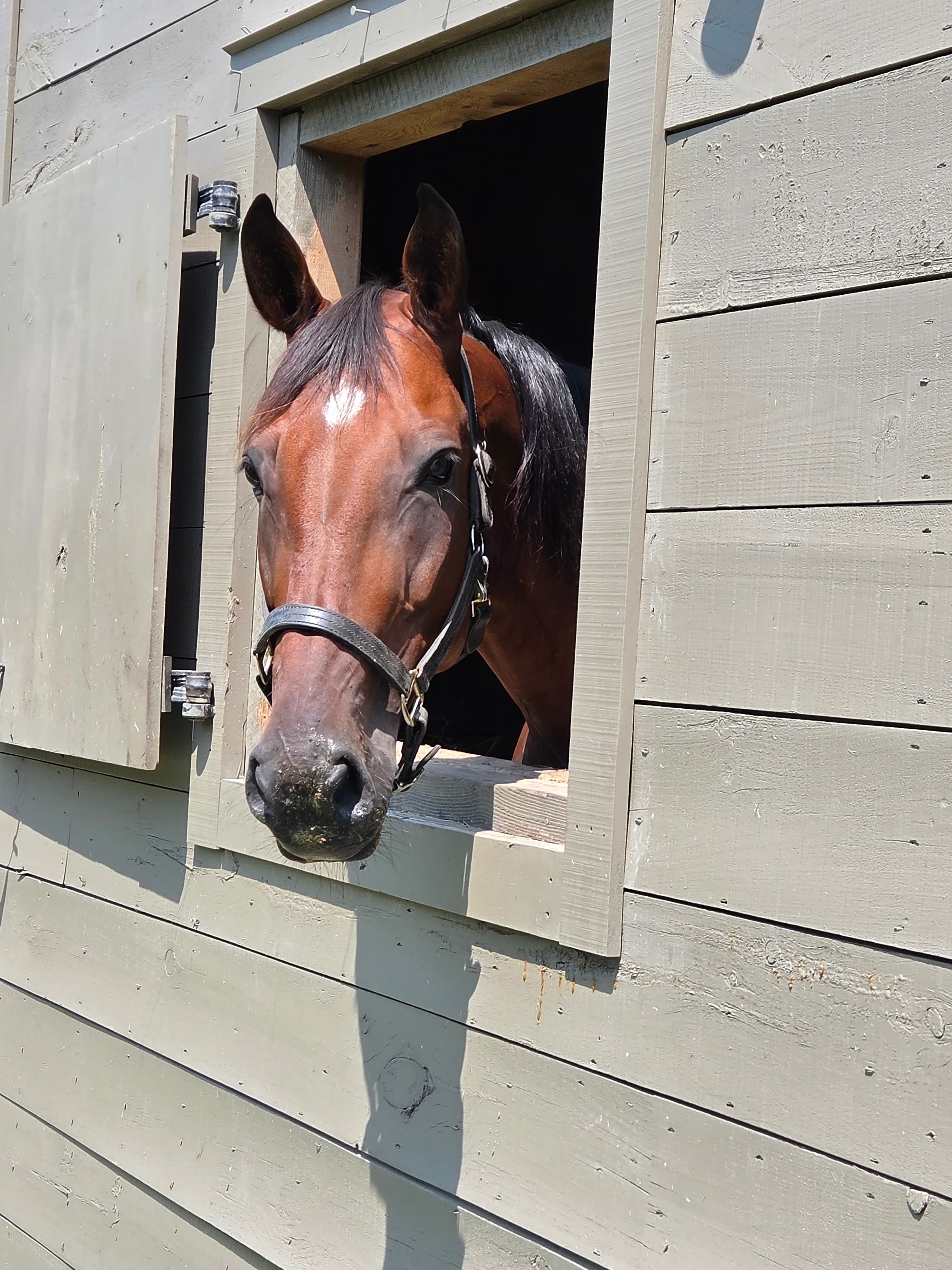 Tyga Hanover — photo 3